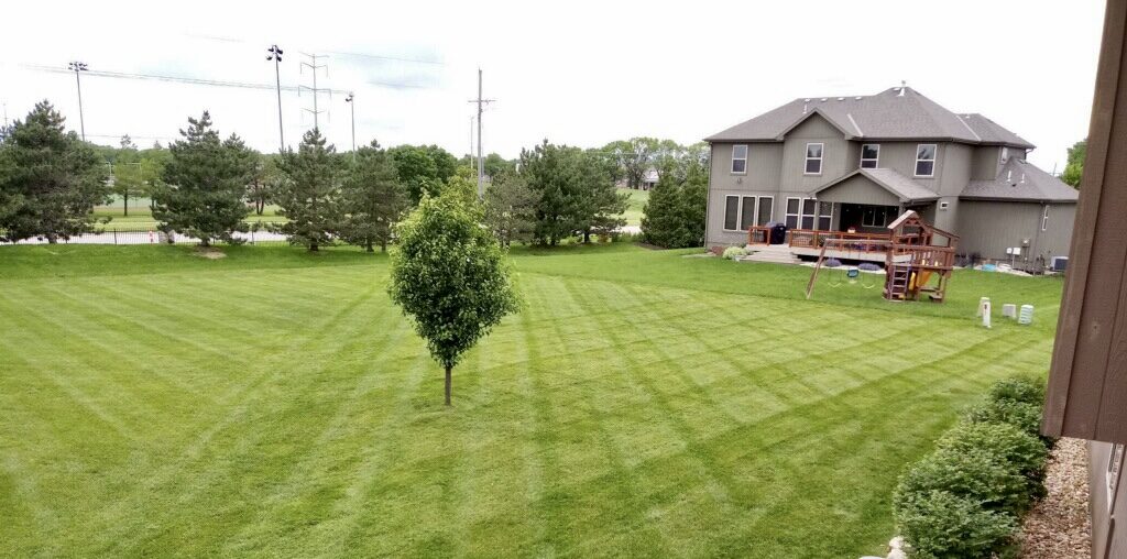 Healthy fertilized lawn care service in Kansas City, MO