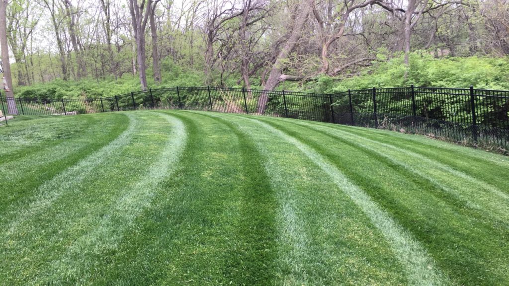 Freshly mowed and striped lawn in Kansas City, MO