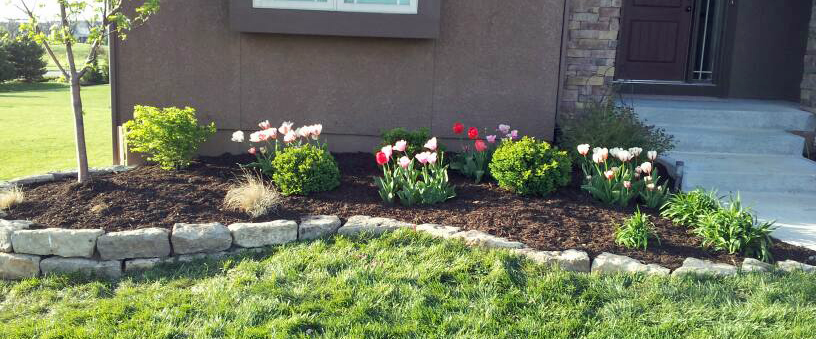 Professional landscape installation completed in Kansas City